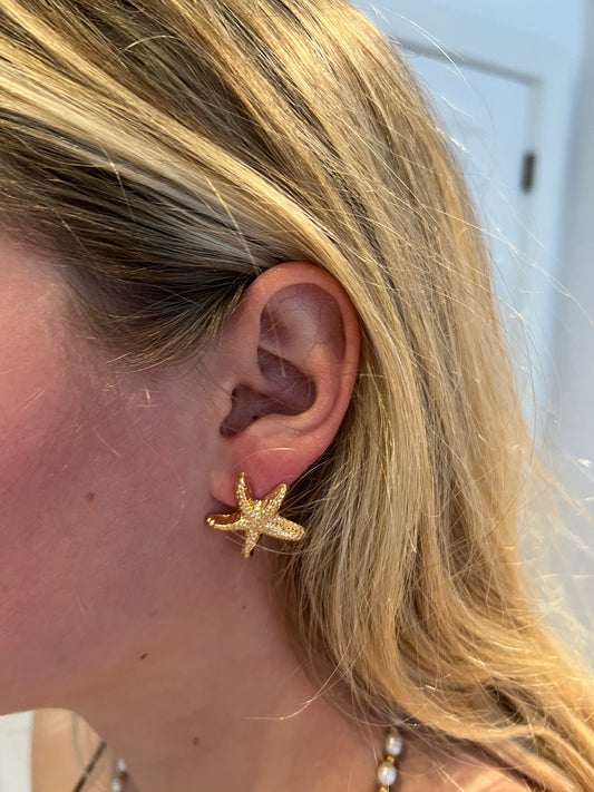 Søstjerne Ørering