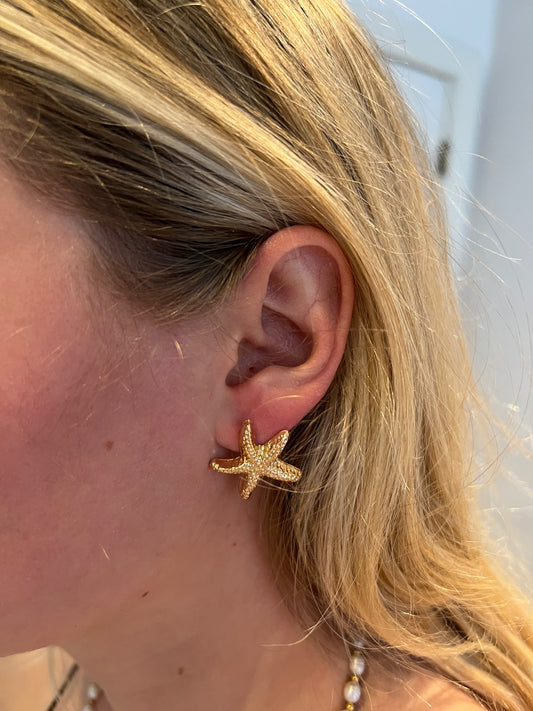 Søstjerne Ørering